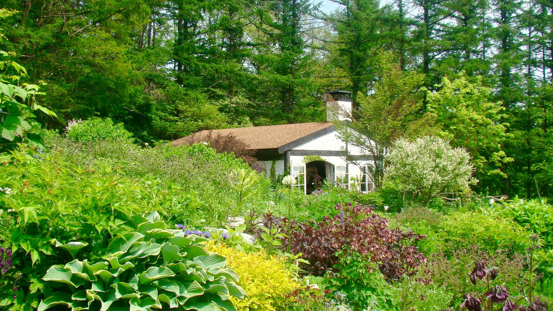 タカショーガーデニングライフ振興財団7